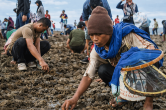 ritual bau nyale Lombok