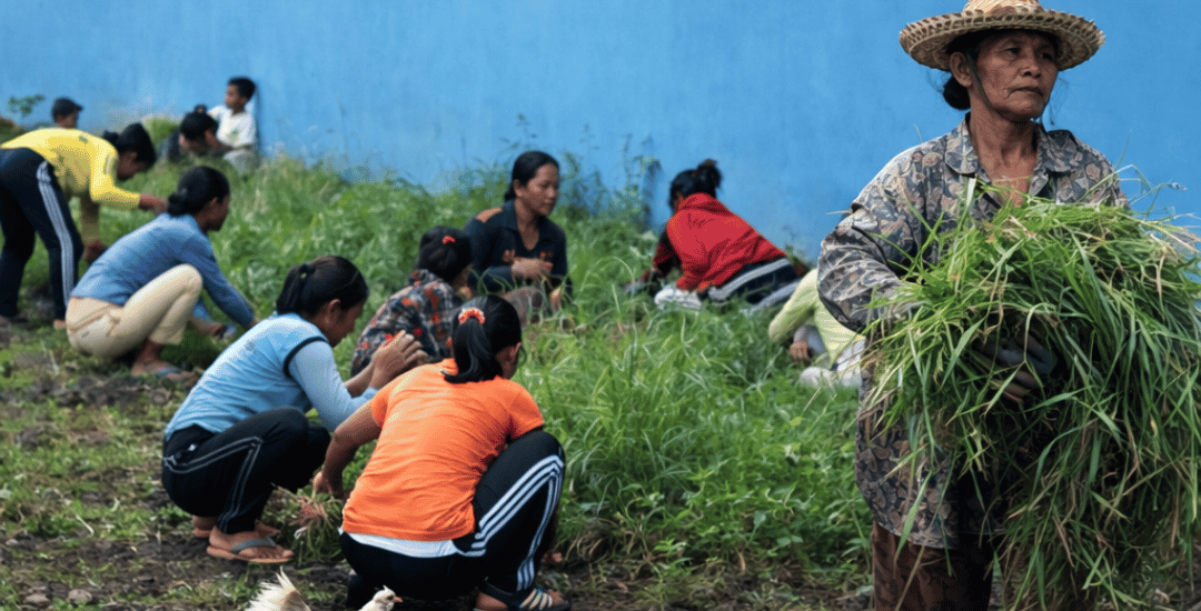 Gotong Royong sebagai Identitas Budaya