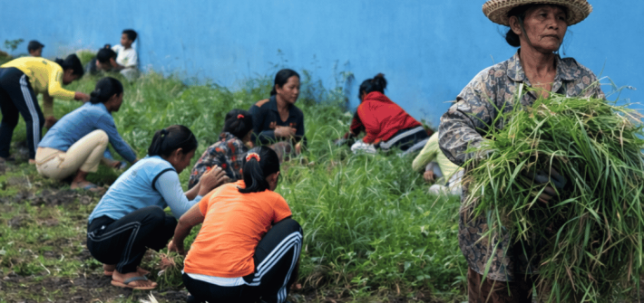 Gotong Royong sebagai Identitas Budaya